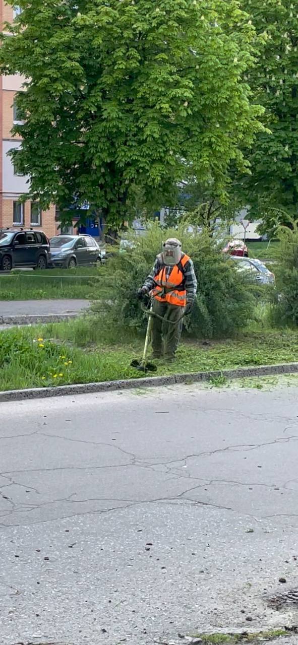 Графік покосу трави на 10-14 червня