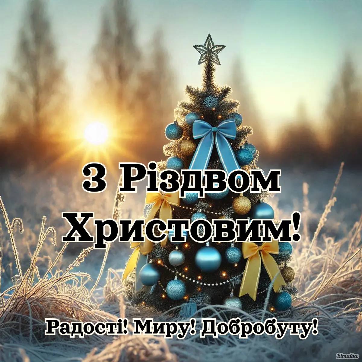 🎄 Щиро вітаємо вас з прийдешнім Різдвом Христовим 🎆